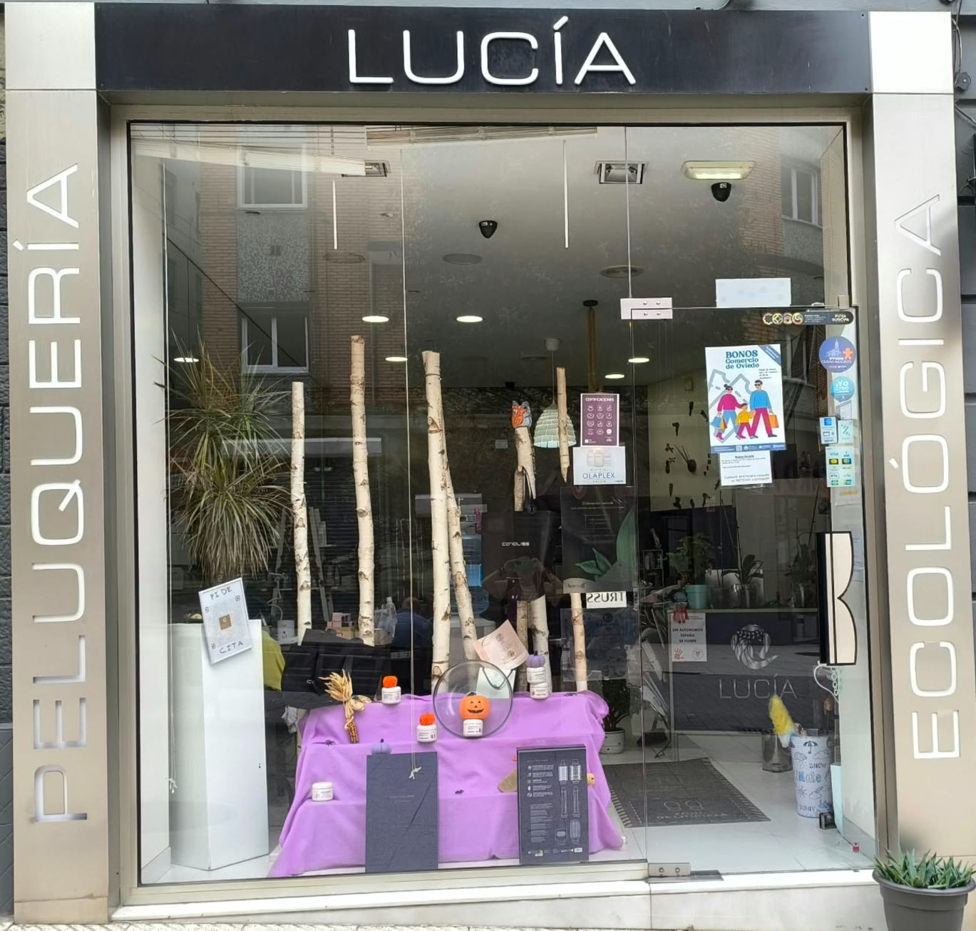 Fachada y entrada de Lucía Peluquería Ecológica en Oviedo